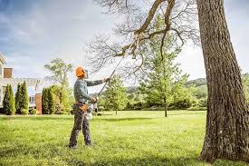 Lawn Maintenance Plans in Dos Palos, CA
